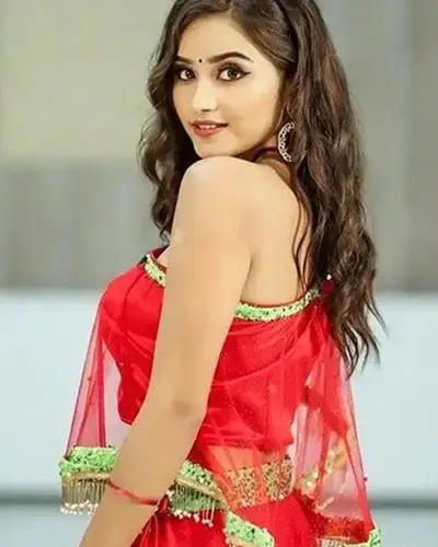 Call Girls Service Pochampalli